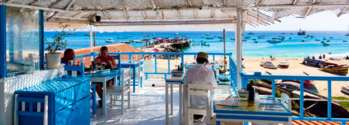 LobSTAR Terrace semi Panoramic